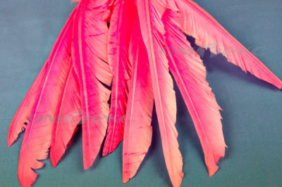 Декоративный Пучок из перьев, перо 25см/розовый - купить в Глазове. Цена: 14.40 руб.