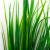 Трава искусственная -2, шт (осока 41см/8 см)				 - купить в Глазове. Цена: 104.57 руб.