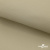 Ткань подкладочная TWILL 230T 14-1108, беж светлый 100% полиэстер,66 г/м2, шир.150 cм - купить в Глазове. Цена 90.59 руб.