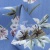 Плательная ткань "Фламенко" 12.1, 80 гр/м2, шир.150 см, принт растительный - купить в Глазове. Цена 241.49 руб.