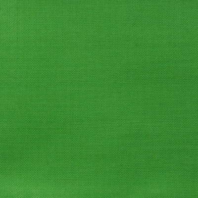 Ткань подкладочная Таффета 17-6153, 48 гр/м2, шир.150см, цвет трава - купить в Глазове. Цена 54.64 руб.