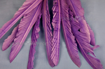 Декоративный Пучок из перьев, перо 25см/фиолетовый - купить в Глазове. Цена: 12.19 руб.