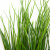 Трава искусственная -4, шт  (осока 50 см/8 см  7 листов)				 - купить в Глазове. Цена: 130.73 руб.
