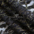 Кружевное полотно XD LACE 1-4, 80 гр/м2, шир.150см, цвет чёрный - купить в Глазове. Цена 245.94 руб.